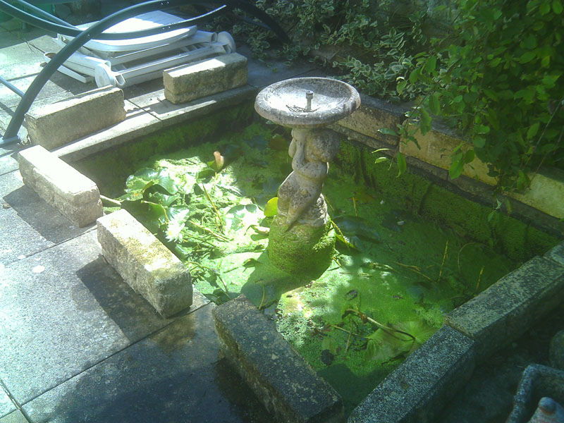  Small Pond restoration 